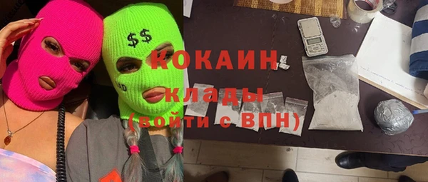 соль ск Абаза